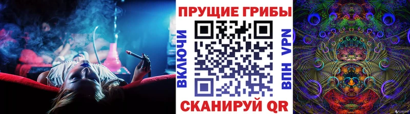 Псилоцибиновые грибы мицелий  darknet формула  Истра  что такое  